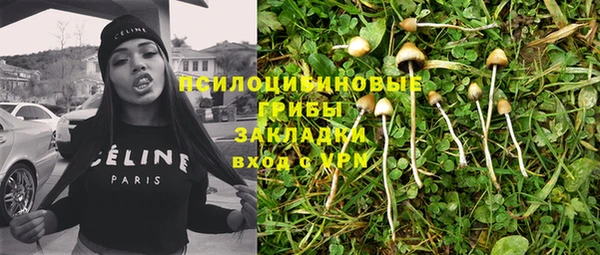 герыч Алексин