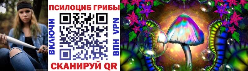 Псилоцибиновые грибы Cubensis  где можно купить   Ивангород 